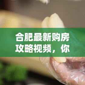 合肥最新购房攻略视频，你的购房指南全解析