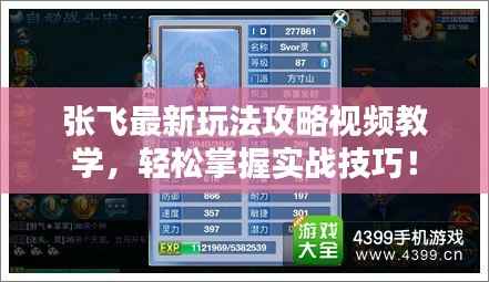 张飞最新玩法攻略视频教学，轻松掌握实战技巧！