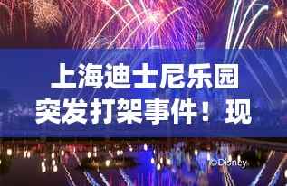 上海迪士尼乐园突发打架事件！现场混乱，引发网友热议