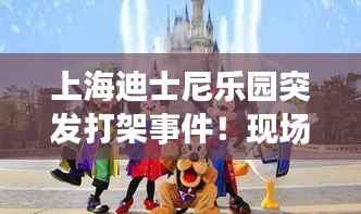 上海迪士尼乐园突发打架事件!现场混乱,引发网友热议