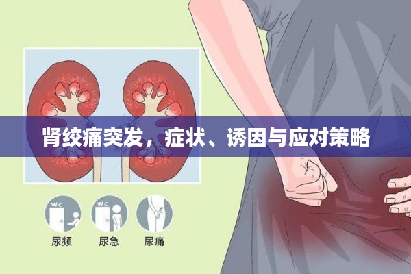 肾绞痛突发，症状、诱因与应对策略