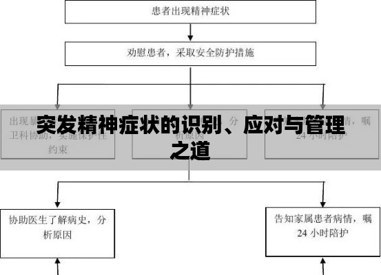 突发精神症状的识别、应对与管理之道