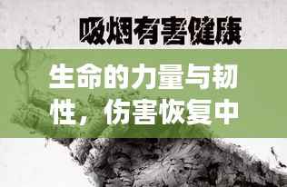 生命的力量与韧性，伤害恢复中的坚韧展现