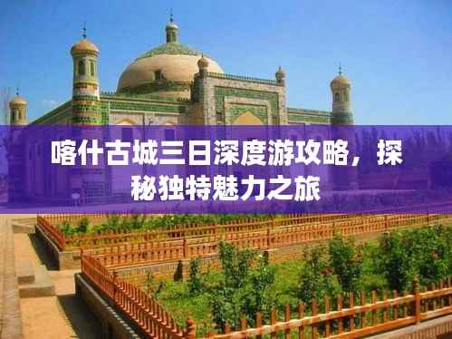 越鸟南栖 第3页