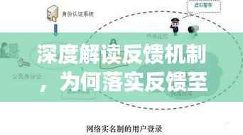 深度解读反馈机制,为何落实反馈至关重要与实际操作指南