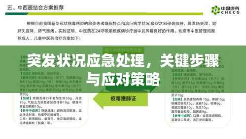 突发状况应急处理，关键步骤与应对策略