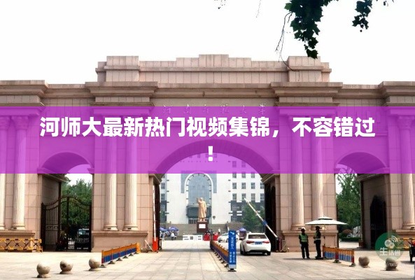 河师大最新热门视频集锦，不容错过！