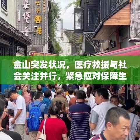 云龙井蛙 第4页