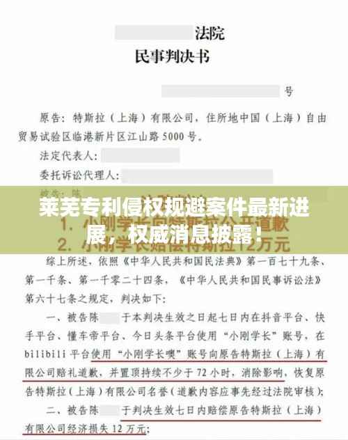 莱芜专利侵权规避案件最新进展，权威消息披露！