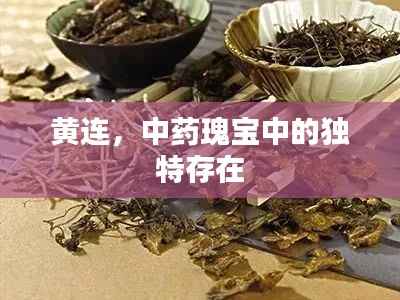 黄连，中药瑰宝中的独特存在