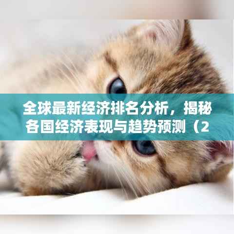 全球最新经济排名分析，揭秘各国经济表现与趋势预测（2022版）