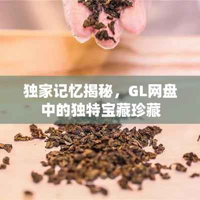 独家记忆揭秘，GL网盘中的独特宝藏珍藏