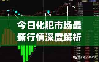 今日化肥市场最新行情深度解析