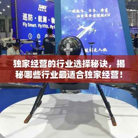 独家经营的行业选择秘诀，揭秘哪些行业最适合独家经营！