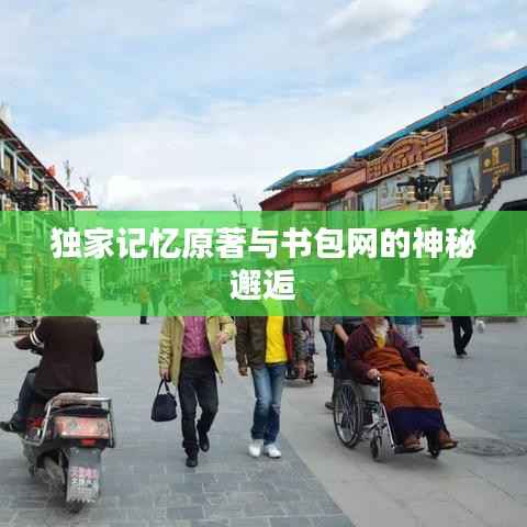 独家记忆原著与书包网的神秘邂逅