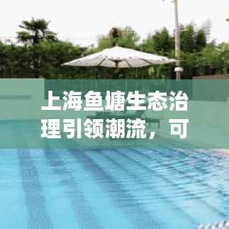 上海鱼塘生态治理引领潮流，可持续发展成就今日头条新闻