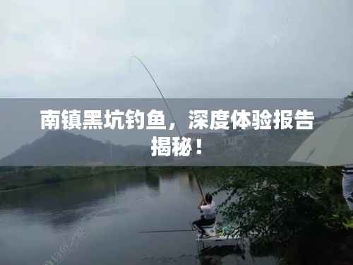 南镇黑坑钓鱼，深度体验报告揭秘！