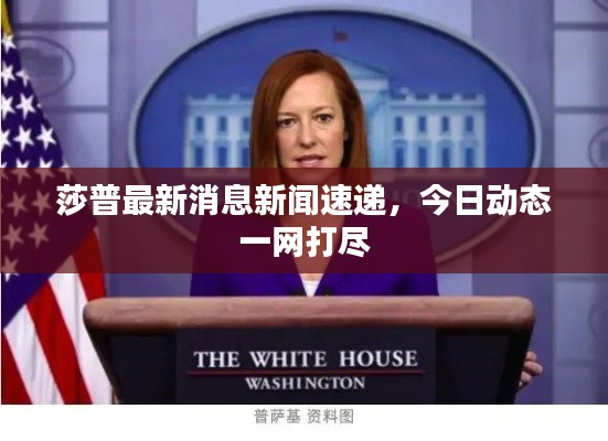 莎普最新消息新闻速递,今日动态一网打尽