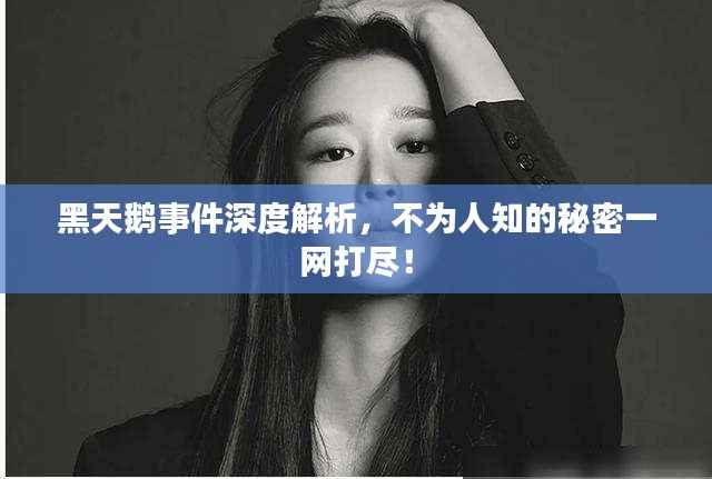 黑天鹅事件深度解析，不为人知的秘密一网打尽！