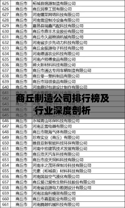 商丘制造公司排行榜及行业深度剖析