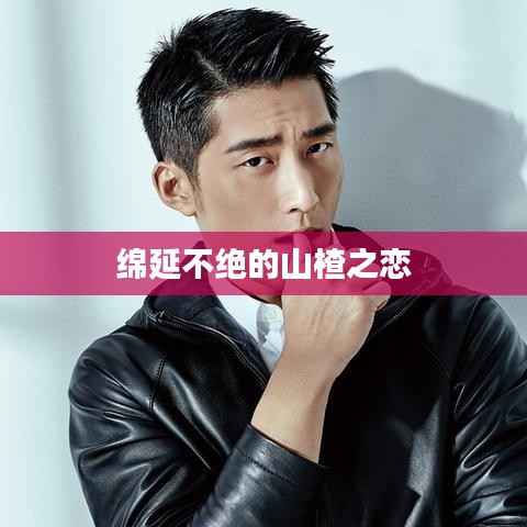 绵延不绝的山楂之恋