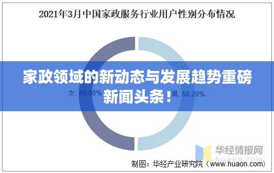 家政领域的新动态与发展趋势重磅新闻头条！