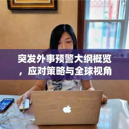 突发外事预警大纲概览，应对策略与全球视角
