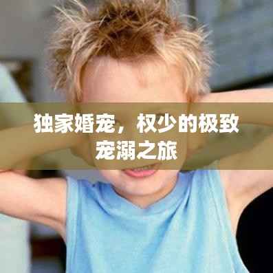 独家婚宠，权少的极致宠溺之旅