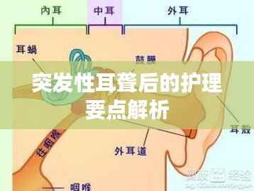 突发性耳聋后的护理要点解析