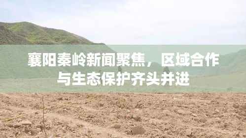 襄阳秦岭新闻聚焦，区域合作与生态保护齐头并进