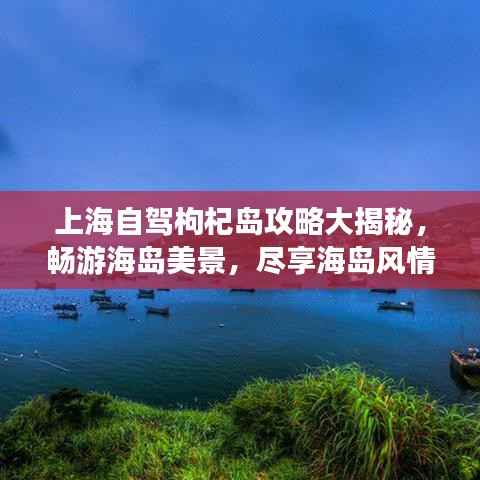 上海自驾枸杞岛攻略大揭秘,畅游海岛美景,尽享海岛风情!