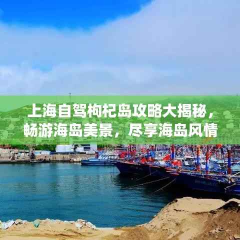 上海自驾枸杞岛攻略大揭秘,畅游海岛美景,尽享海岛风情!