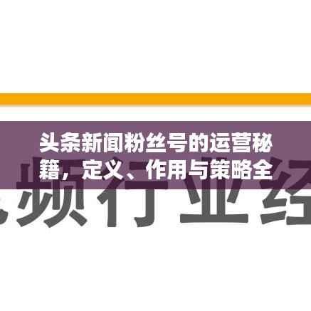头条新闻粉丝号的运营秘籍，定义、作用与策略全解析！