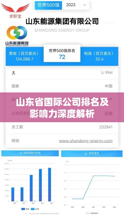 山东省国际公司排名及影响力深度解析