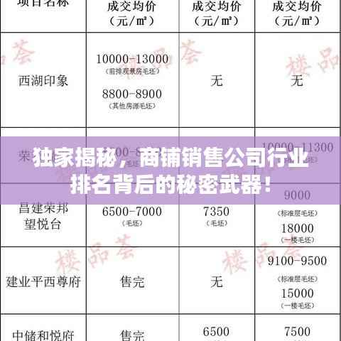 独家揭秘，商铺销售公司行业排名背后的秘密武器！