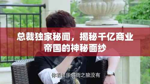 总裁独家秘闻，揭秘千亿商业帝国的神秘面纱