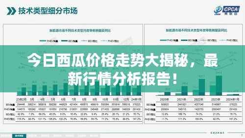 今日西瓜价格走势大揭秘,最新行情分析报告!