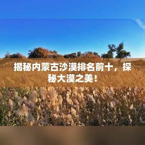 揭秘内蒙古沙漠排名前十，探秘大漠之美！